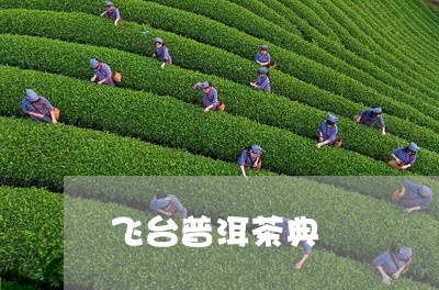 飞台普洱茶典/2023042562765