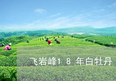 飞岩峰18年白牡丹/2023120610604