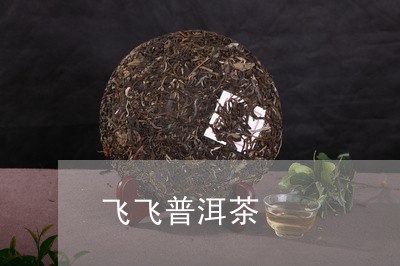 飞飞普洱茶/2023090630504