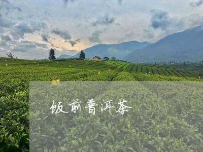 饭前普洱茶/2023090590616