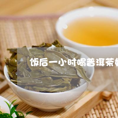 饭后一小时喝普洱茶好吗/2023082499262