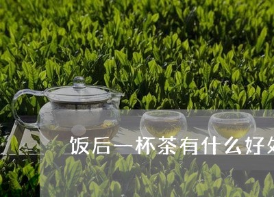 饭后一杯茶有什么好处/2023071451825