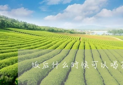 饭后什么时候可以喝茶/2023071489604