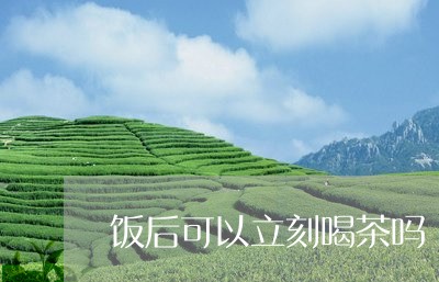 饭后可以立刻喝茶吗/2023042271837