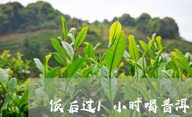 饭后过1小时喝普洱茶/2023092892957