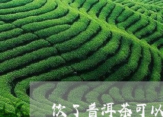 饮了普洱茶可以量血压吗/2023102579303