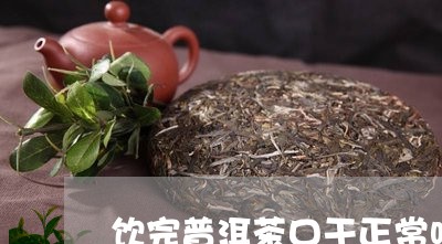 饮完普洱茶口干正常吗/2023112462693