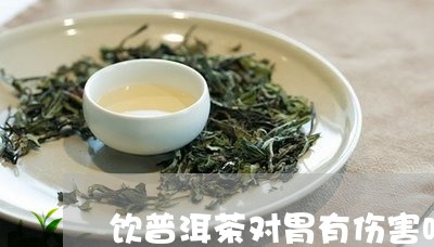 饮普洱茶对胃有伤害吗/2023072370502