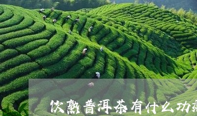 饮熟普洱茶有什么功效与作用/2023110894038