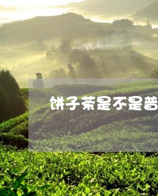 饼子茶是不是普洱茶做的/2023082497281