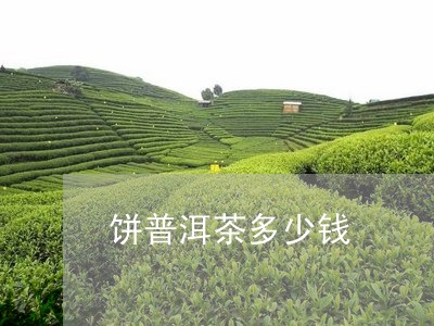 饼普洱茶多少钱/2023082683695