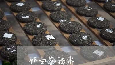 饼白茶福鼎/2023082749692