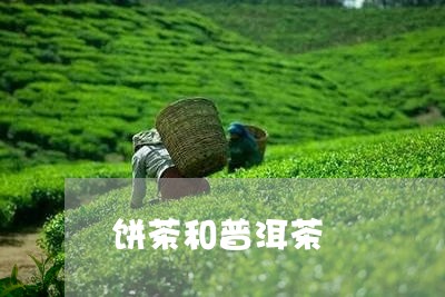 饼茶和普洱茶/2023042822743