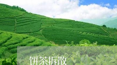 饼茶拆散/2023110947158