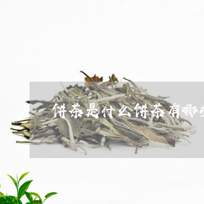 饼茶是什么饼茶有哪些/2023060937472