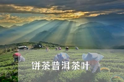 饼茶普洱茶叶/2023042616512