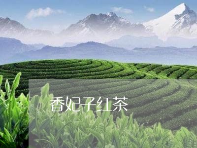 香妃子红茶/2023110905838