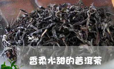 香柔水甜的普洱茶/2023120430594