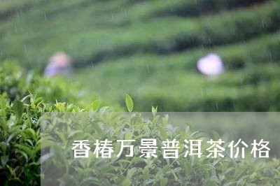 香椿万景普洱茶价格/2023091590602