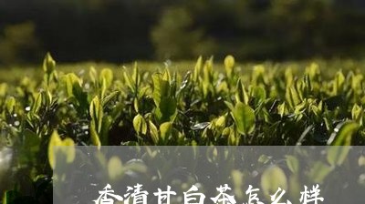 香清甘白茶怎么样/2023071263735