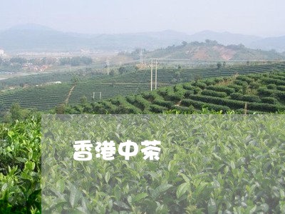 香港中茶/2023121943937