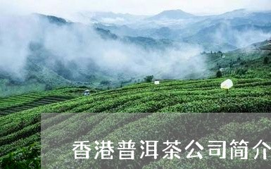 香港普洱茶公司简介图/2023110822868