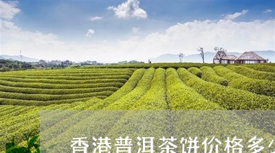 香港普洱茶饼价格多少钱一斤/2023121805251
