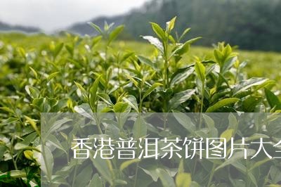 香港普洱茶饼图片大全高清/2023121829493