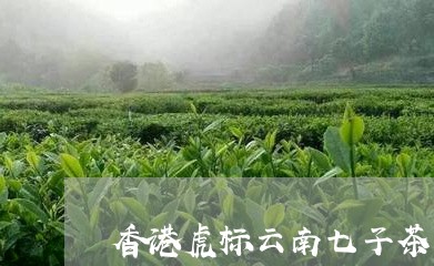 香港虎标云南七子茶饼/2023092160504