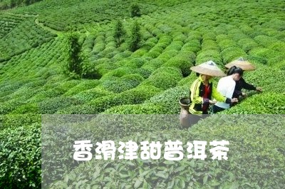 香滑津甜普洱茶/2023110377396