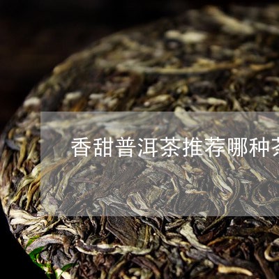 香甜普洱茶推荐哪种茶/2023121884159