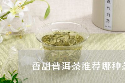 香甜普洱茶推荐哪种茶类/2023110802025