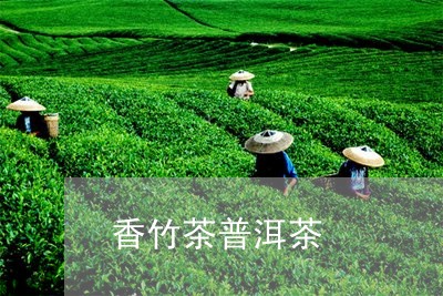 香竹茶普洱茶/2023042953094