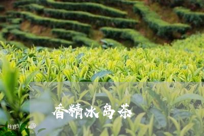 香精冰岛茶/2023041820396