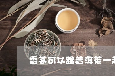 香茅可以跟普洱茶一起泡吗/2023110436171