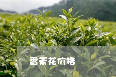 香茶花价格/2023090270795