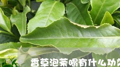 香草泡茶喝有什么功效/2023060894968