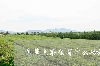 香草泡茶喝有什么功效/2023092081617