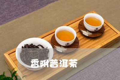 香附普洱茶/2023090685948