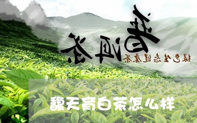 馥天育白茶怎么样/2023071270797