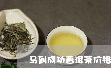 马到成功普洱茶价格/2023091393796