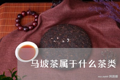 马坡茶属于什么茶类/2023042348158