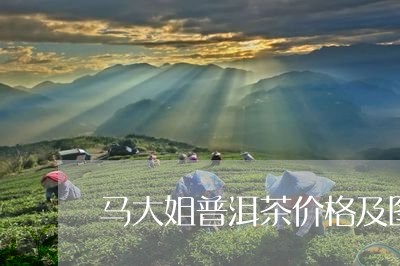 马大姐普洱茶价格及图片/2023110105159