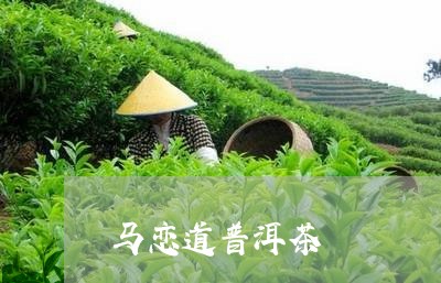 马恋道普洱茶/2023121856161