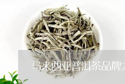 马来西亚普洱茶品牌大全/2023112876150