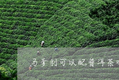 马爹利可以配普洱茶吗/2023092893815