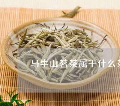 马牛山茗茶属于什么茶/2023071404271