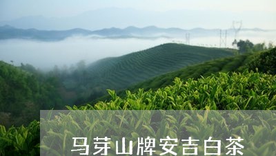 马芽山牌安吉白茶/2023071278482