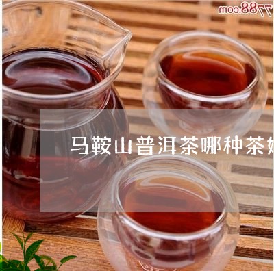 马鞍山普洱茶哪种茶好/2023073149363