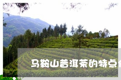 马鞍山普洱茶的特点介绍/2023112859382